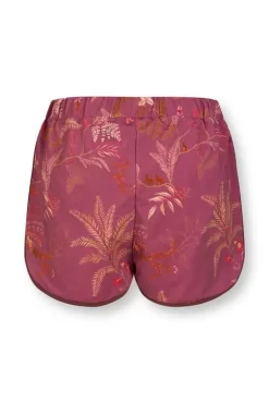 Korte Broek Isola