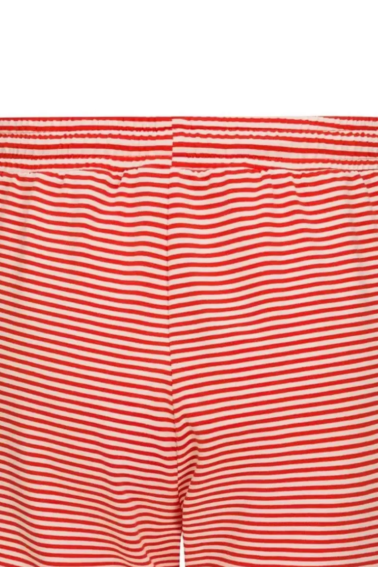 Korte Broek Little Sumo Stripe Koraal