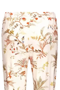 Lange Broek Isola