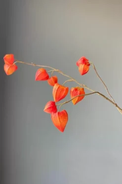 Pip Kunstbloemen Fall Beauty