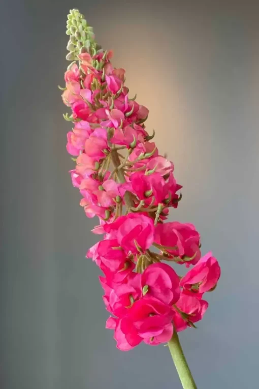 Pip Kunstbloemen Sunset Kiss