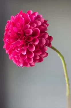 Pip Kunstbloemen Sweet Symphony