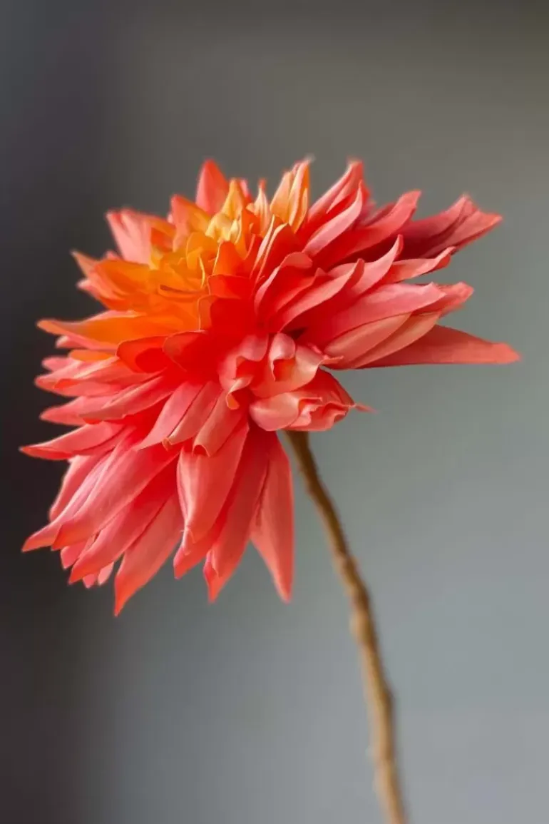 Pip Kunstbloemen Sweet Symphony